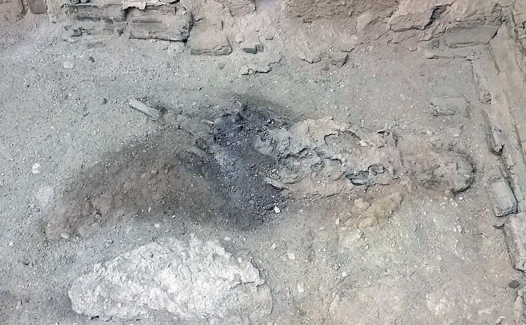 VI.21 Herculaneum. January 2020. Remains of skeleton lying on bed in “caretaker’s room”. Photo courtesy Pier Paolo Petrone.
A team led by Pier Paolo Petrone, a forensic anthropologist at the Federico II University in Naples, determined that the victim’s brain matter had been vitrified, a process by which tissue is burned at a high heat and turned into glass, according to the new study. The fragments presented as shards of shiny black material spotted within remnants of the victim’s skull.
A study of the charred wood nearby indicates a maximum temperature of 520 degrees Celsius (968 degrees Fahrenheit). "This suggests that extreme radiant heat was able to ignite body fat and vaporize soft tissue," the study said.
The resulting solidified spongy mass found in the victim’s chest bones is also unique among other archaeological sites and can be compared with victims of more recent historic events like the firebombing of Dresden and Hamburg in World War II, the article said.
The flash of extreme heat was followed by a rapid drop in temperatures, which vitrified the brain material, the authors said.
"This is the first time ever that vitrified human brain remains have been discovered resulting from heat produced by an eruption," Herculaneum officials said.
See Mount Vesuvius blast turned ancient victim’s brain to glass on the Archaeology News Network.
See Heat-Induced Brain Vitrification from the Vesuvius Eruption in c.e. 79 in The New England Journal of Medicine.